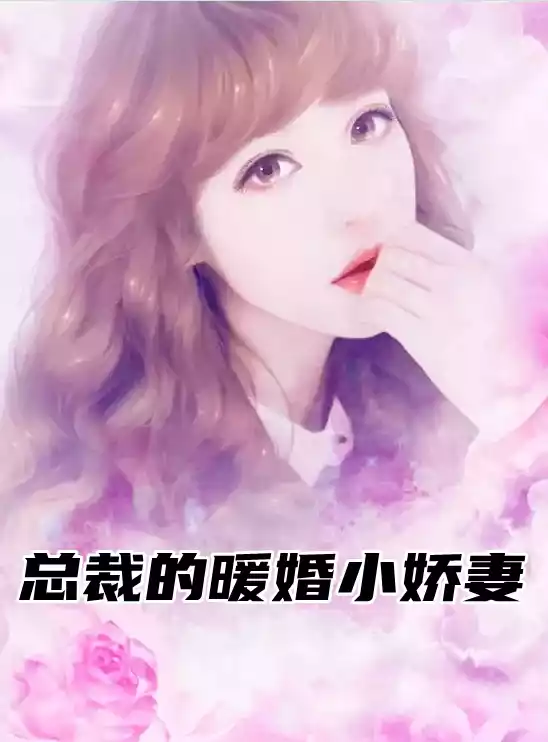 总裁的暖婚小娇妻小说
