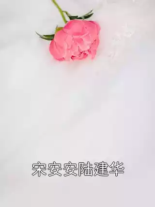 宋安安陆建华小说