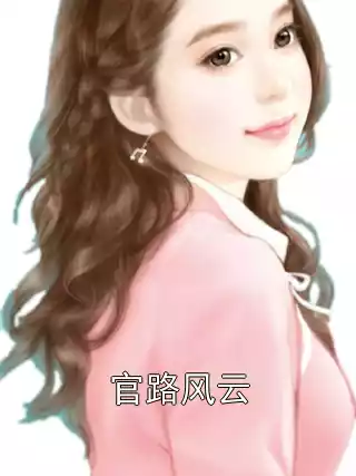 官路风云小说