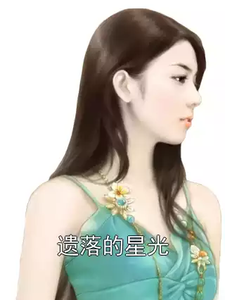 遗落的星光小说