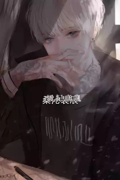 桑沁裴辰小说