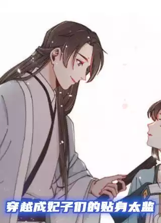 穿越成妃子们的贴身太监小说