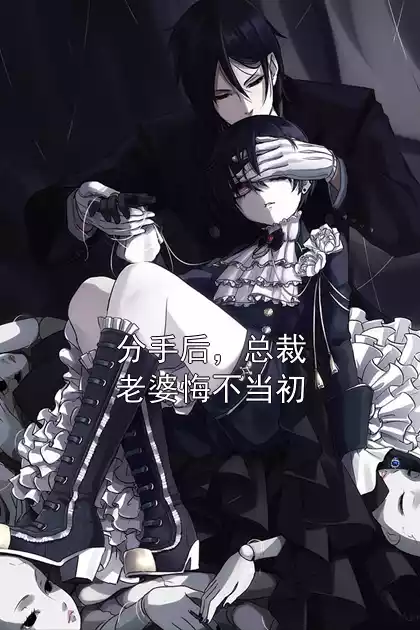 分手后，总裁老婆悔不当初