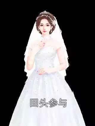 回头参与小说