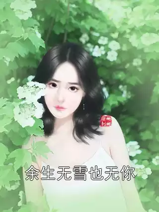余生无雪也无你小说