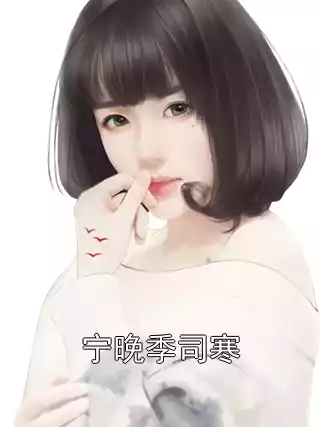 宁晚季司寒小说