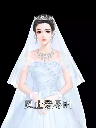风止爱尽时小说