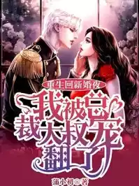 重生回新婚夜我被总裁大叔宠翻了小说