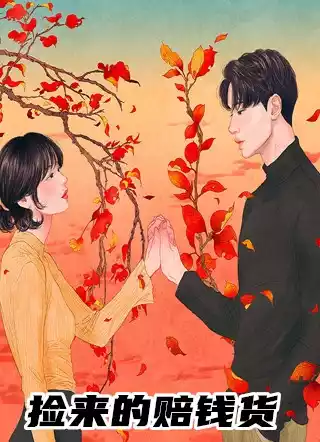 捡来的赔钱货小说