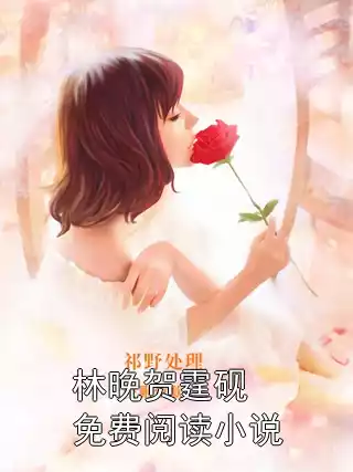 林晚贺霆砚免费阅读小说