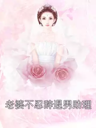 老婆不忍辞退男助理小说