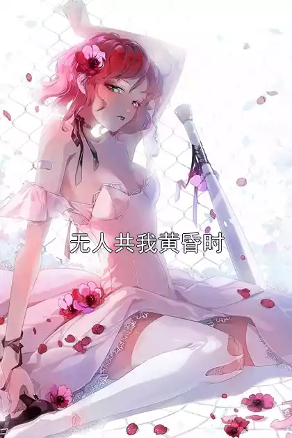 无人共我黄昏时