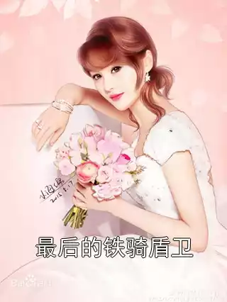 最后的铁骑盾卫小说