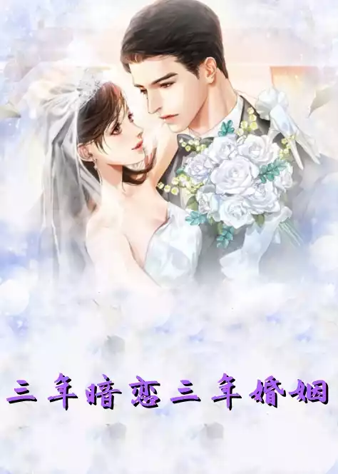 三年暗恋三年婚姻小说