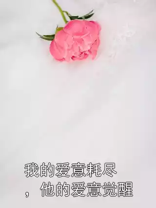 我的爱意耗尽，他的爱意觉醒