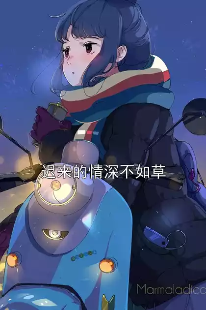 迟来的情深不如草