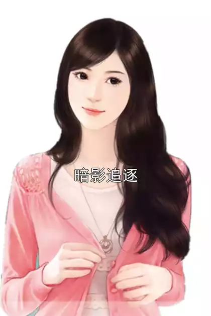 暗影追逐小说