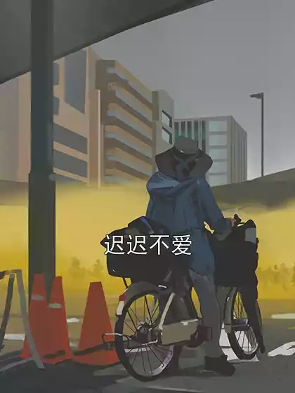 迟迟不爱小说