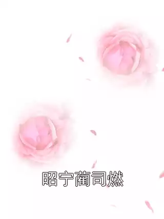 昭宁蔺司燃小说