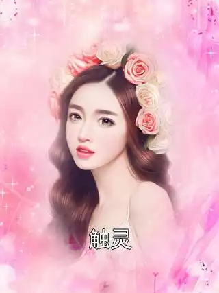 触灵小说