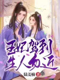 王妃驾到，生人勿近小说
