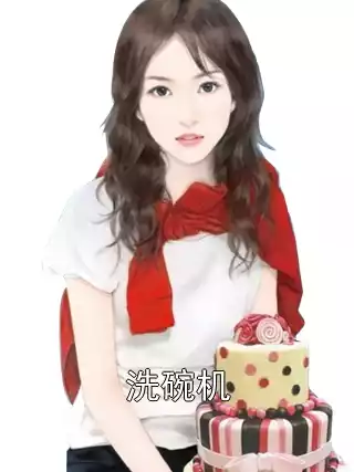 洗碗机小说