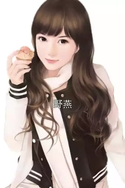 野燕小说