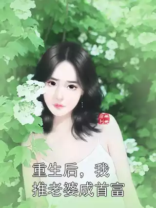 重生后，我推老婆成首富小说