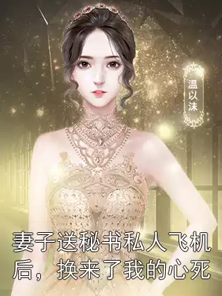 妻子送秘书私人飞机后，换来了我的心死小说