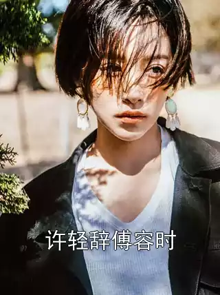 许轻辞傅容时小说