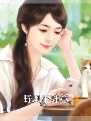 野风不肆意小说