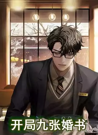 开局九张婚书小说
