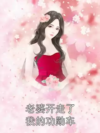 老婆开走了我的功勋车