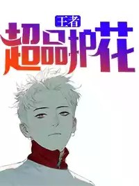 超品护花王者小说