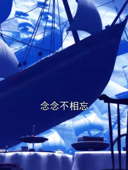 念念不相忘小说