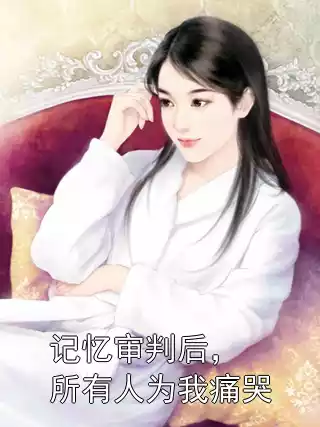 记忆审判后，所有人为我痛哭小说