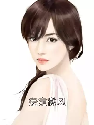 安定微风小说