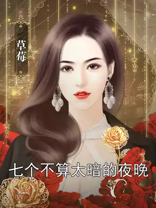 七个不算太暗的夜晚