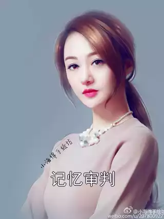 记忆审判小说
