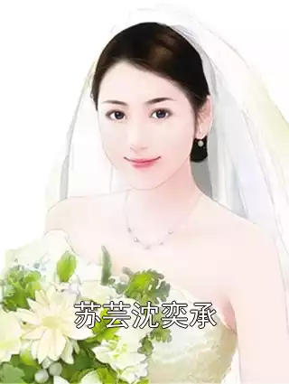 苏芸沈奕承小说