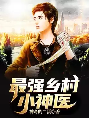 最强乡村小神医小说
