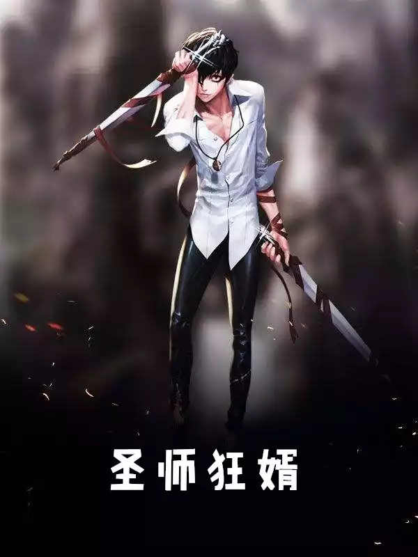 圣师狂婿小说