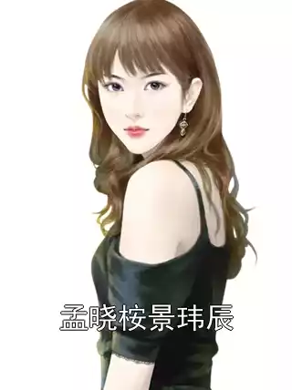 孟晓桉景玮辰小说