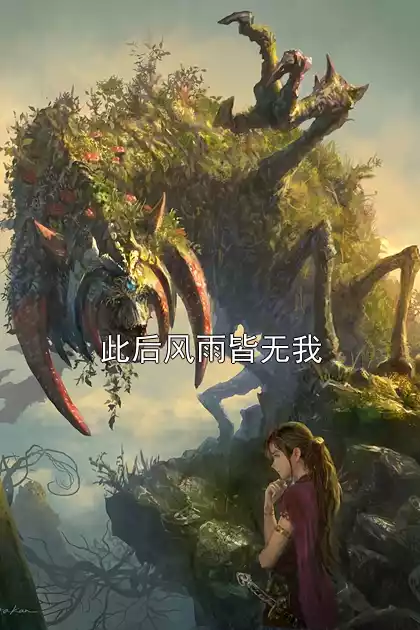 此后风雨皆无我小说