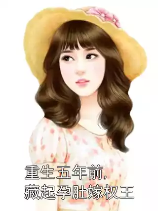 重生五年前,藏起孕肚嫁权王小说