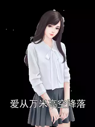 爱从万米高空降落小说