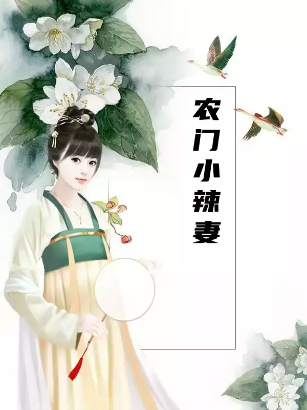 农门小辣妻小说
