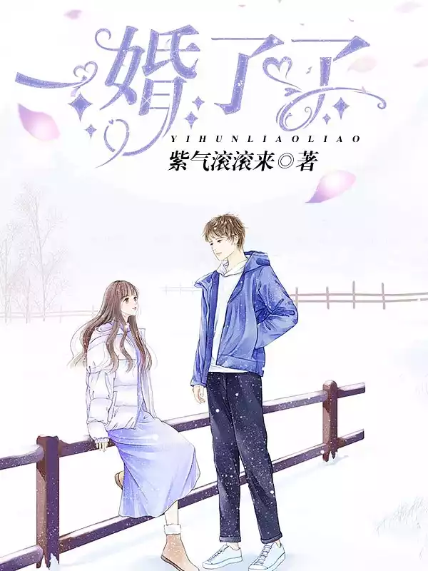 一婚了了小说
