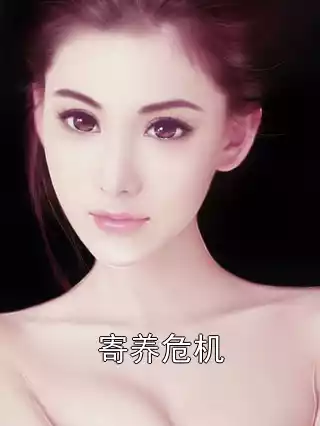 寄养危机小说