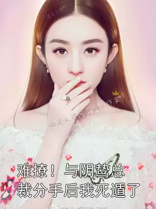 难撩！与阴鸷总裁分手后我死遁了小说